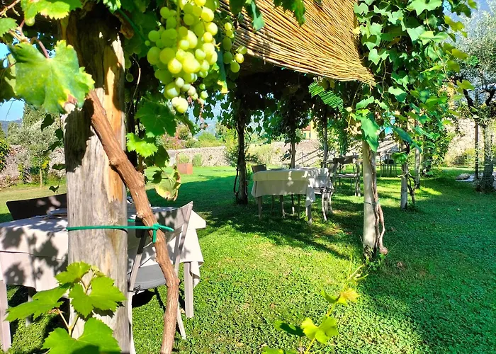 Badia Giulia Prestigious Historical B&B, Camaiore - Adults Only - No Pets
