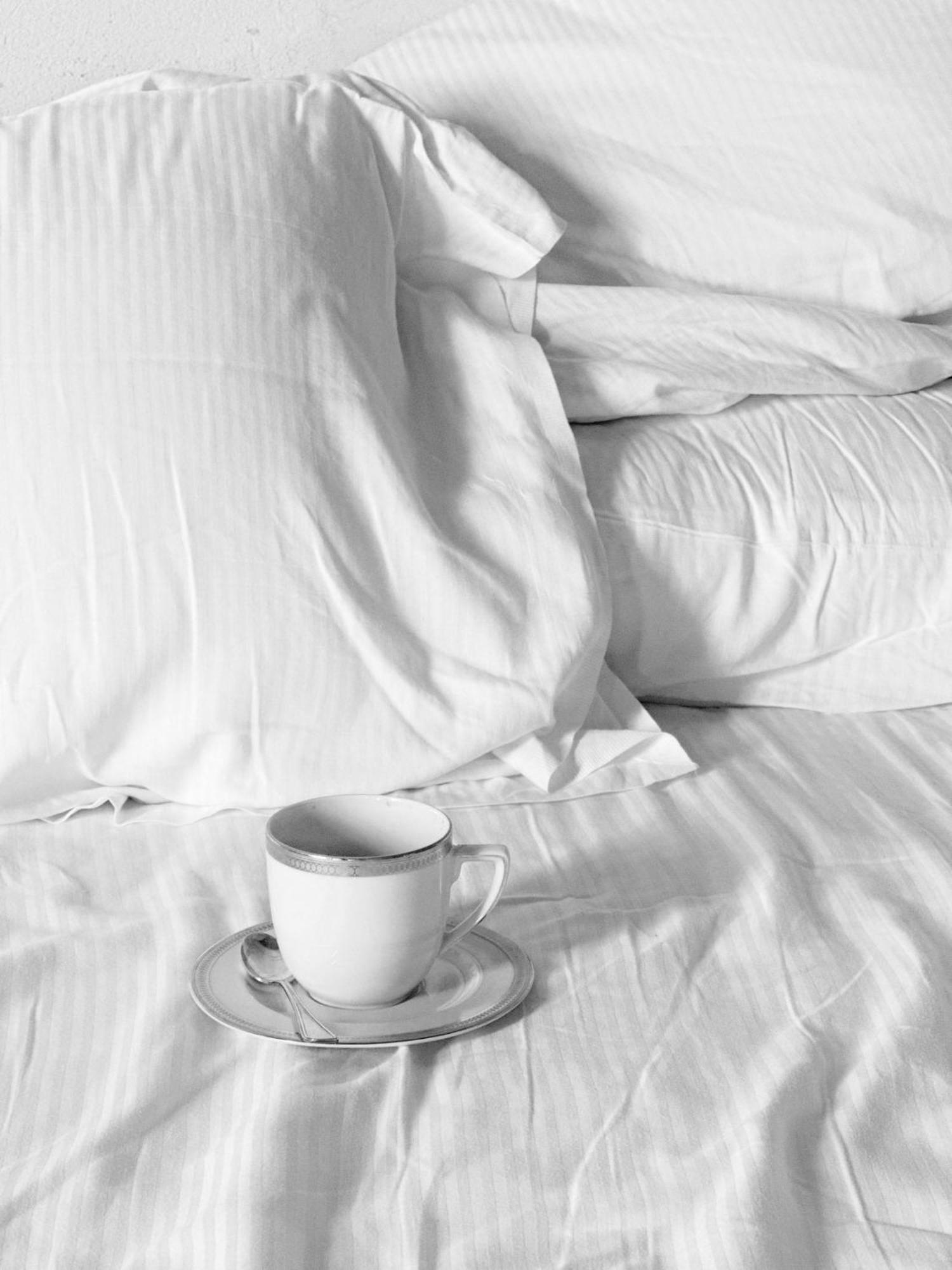 Badia Giulia Prestigious Historical B&b, - Adults Only - No Pets 3* Camaiore